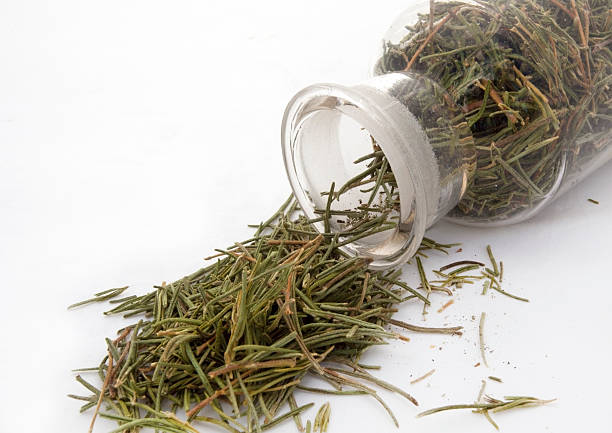 سفارش رزماری خشک شده + شرایط استثنایی